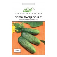 Огірок Магдалєна F1 /10 насінин/ *Професійне насіння*