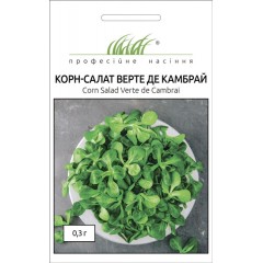 Корн-салат Верте де Камбрай /0,3 г/ *Професійне насіння*
