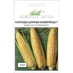 Кукуруза сахарная Камберленд F1 /15 семян/ *Профессиональные семена*