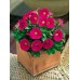 Петунія Пікобелла F1 рожева (rose) /200 насінин/ *Syngenta Seeds*