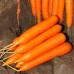 Морква Колтан F1 /100.000 насінин/ *Nunhems Zaden*