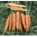 Морква Скарла /0,5 кг насіння/ *Tezier*