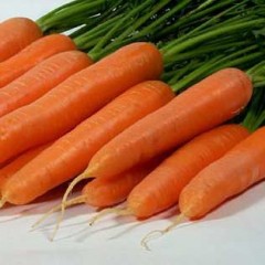 Морковь Лагуна F1 /100.000 семян primed (1,4-1,6)/ *Nunhems Zaden*