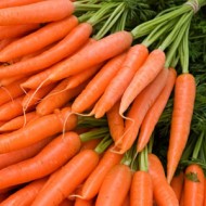 Морковь Кантербьюри F1 /1.000.000 семян (2,0-2,2 мм)/ *Bejo Zaden*