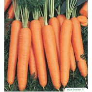 Морковь Нарбонне F1 /1.000.000 семян (1,6-1,8 мм)/ *Bejo Zaden*