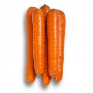 Морковь Джерада F1 /25.000 семян калибр <1,6мм/ *Rijk Zwaan*