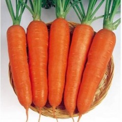 Морковь Крофтон F1 /100.000 семян/ *Rijk Zwaan*