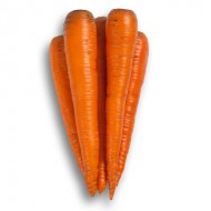 Морковь Трафорд F1 /25.000 семян калибр <1,6мм/ *Rijk Zwaan*