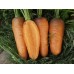 Морква Шантане /0,5 кг насіння/ *Tezier*
