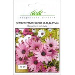 Остеоспермум Балада суміш /10 насінин/ *Професійне насіння*