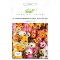 Мезембріантемум кришталевий Лімпопо суміш /0,5 г/ *Професійне насіння*