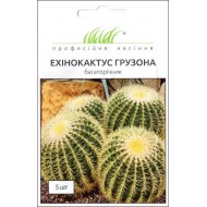 Ехінокактус грузона /5 насінин/ *Професійне насіння*