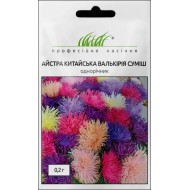 Айстра Валькірія суміш /0,2 г/ *Професійне насіння*