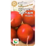 Редиска Краса Алтаю /2 г/ *СібСад*